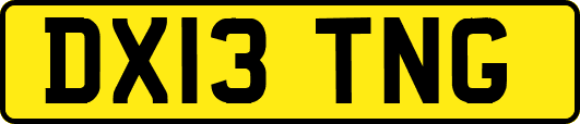 DX13TNG