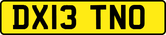 DX13TNO
