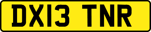 DX13TNR