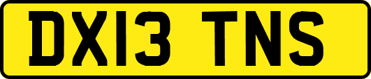 DX13TNS