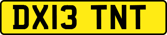 DX13TNT