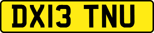 DX13TNU