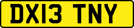 DX13TNY