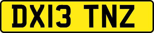DX13TNZ