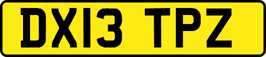 DX13TPZ