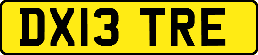 DX13TRE