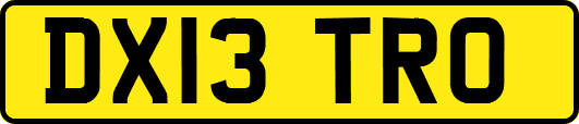 DX13TRO