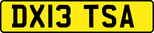 DX13TSA
