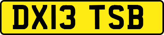 DX13TSB