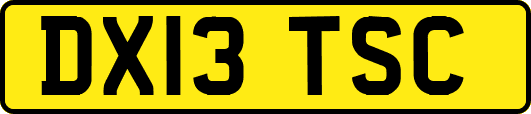 DX13TSC
