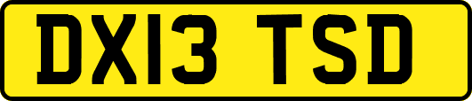 DX13TSD