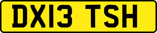 DX13TSH