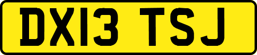 DX13TSJ