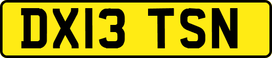 DX13TSN