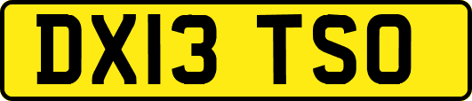 DX13TSO