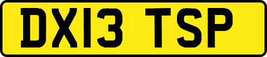 DX13TSP