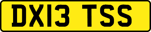 DX13TSS