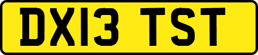 DX13TST