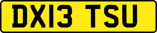 DX13TSU