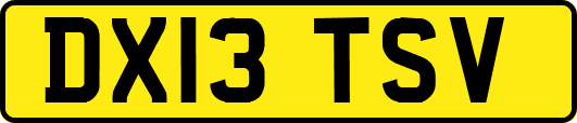 DX13TSV