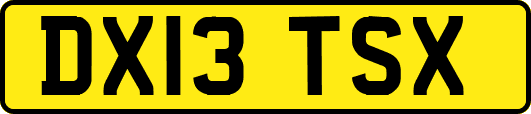 DX13TSX