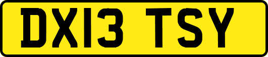 DX13TSY