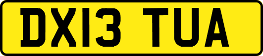 DX13TUA