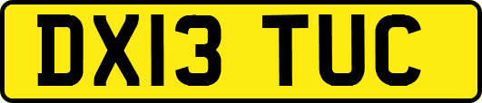 DX13TUC