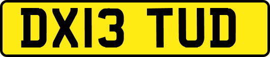 DX13TUD