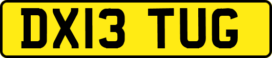 DX13TUG