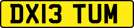 DX13TUM