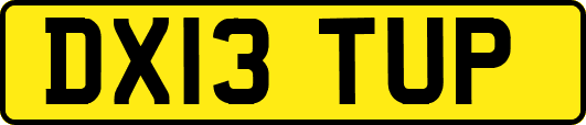DX13TUP