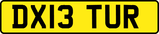 DX13TUR