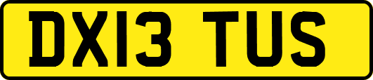 DX13TUS