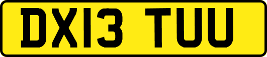 DX13TUU