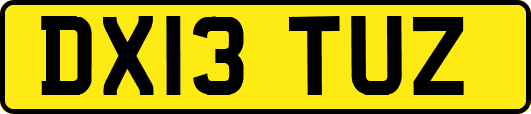 DX13TUZ