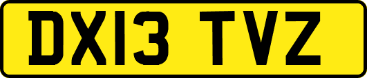 DX13TVZ
