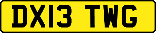 DX13TWG