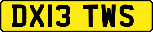 DX13TWS