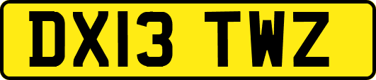 DX13TWZ