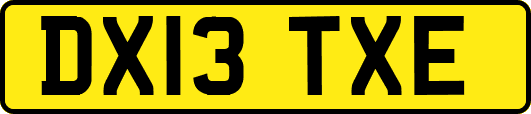 DX13TXE