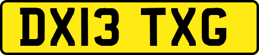 DX13TXG