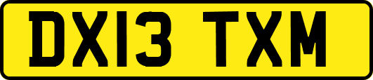 DX13TXM