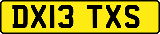 DX13TXS