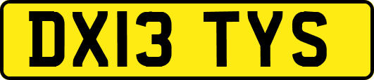 DX13TYS