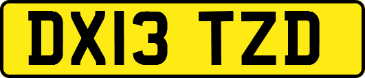 DX13TZD