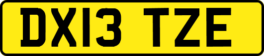 DX13TZE