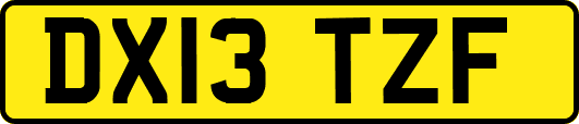 DX13TZF