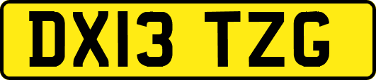 DX13TZG