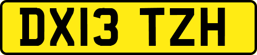 DX13TZH